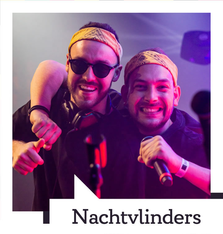 Nachtvlinders